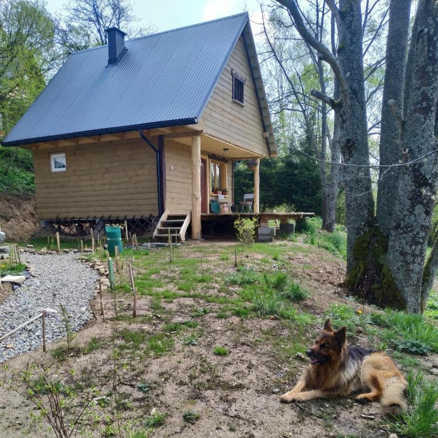 Leszczynowy Stok Chalet *