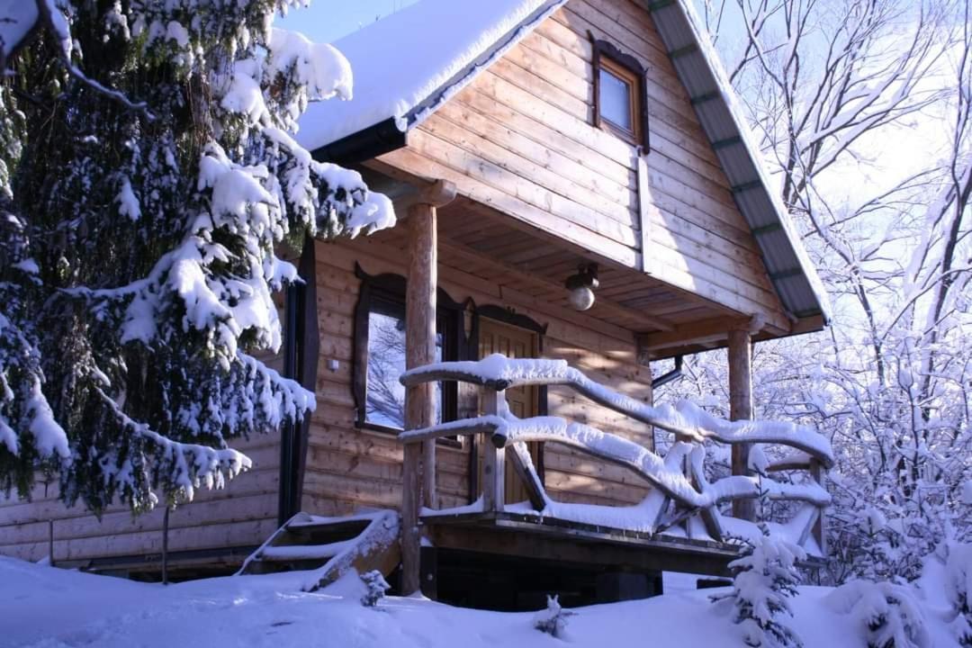 Chalet Leszczynowy Stok Lutowiska