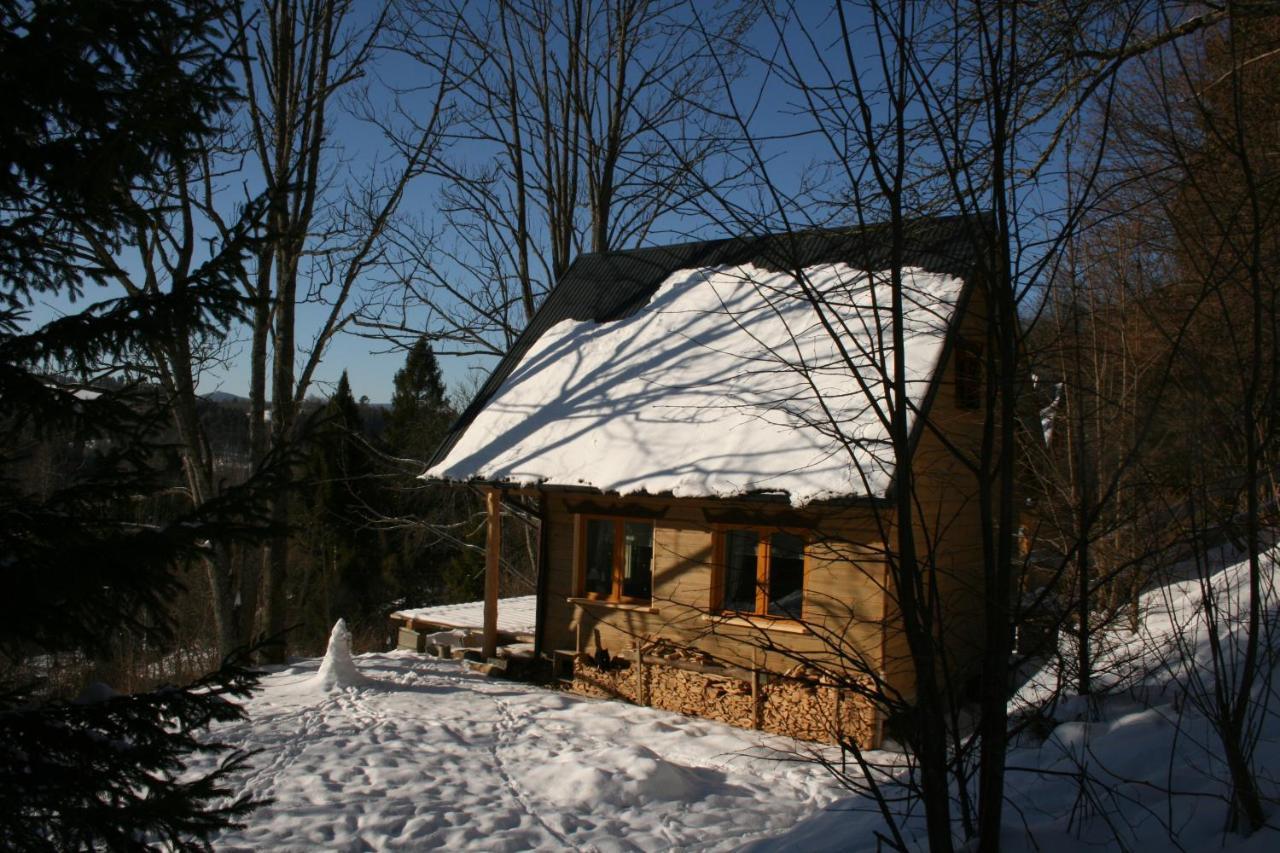 Chalet Leszczynowy Stok