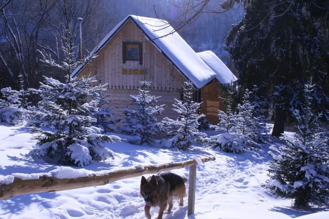 Leszczynowy Stok Chalet *