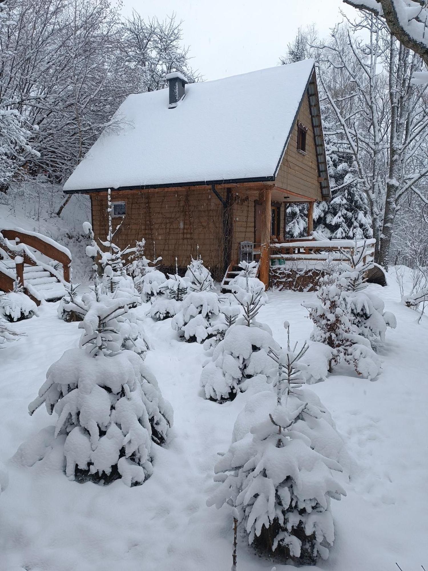 Chalet Leszczynowy Stok Lutowiska